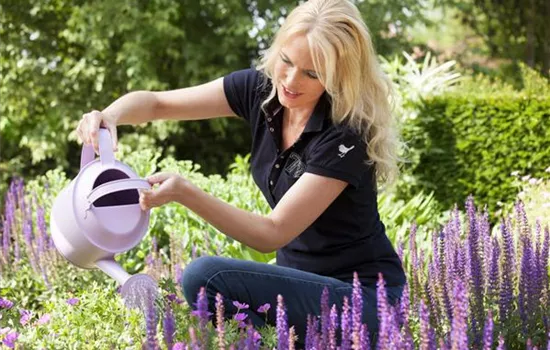 Wenn der Garten ruft: graben, lockern, schneiden 